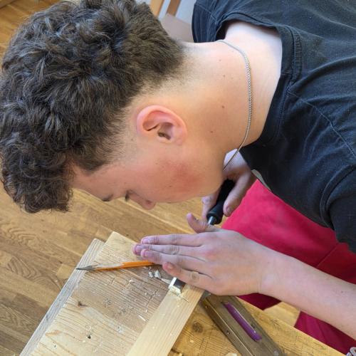 Bild
